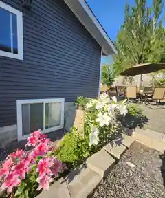 Backyard garden