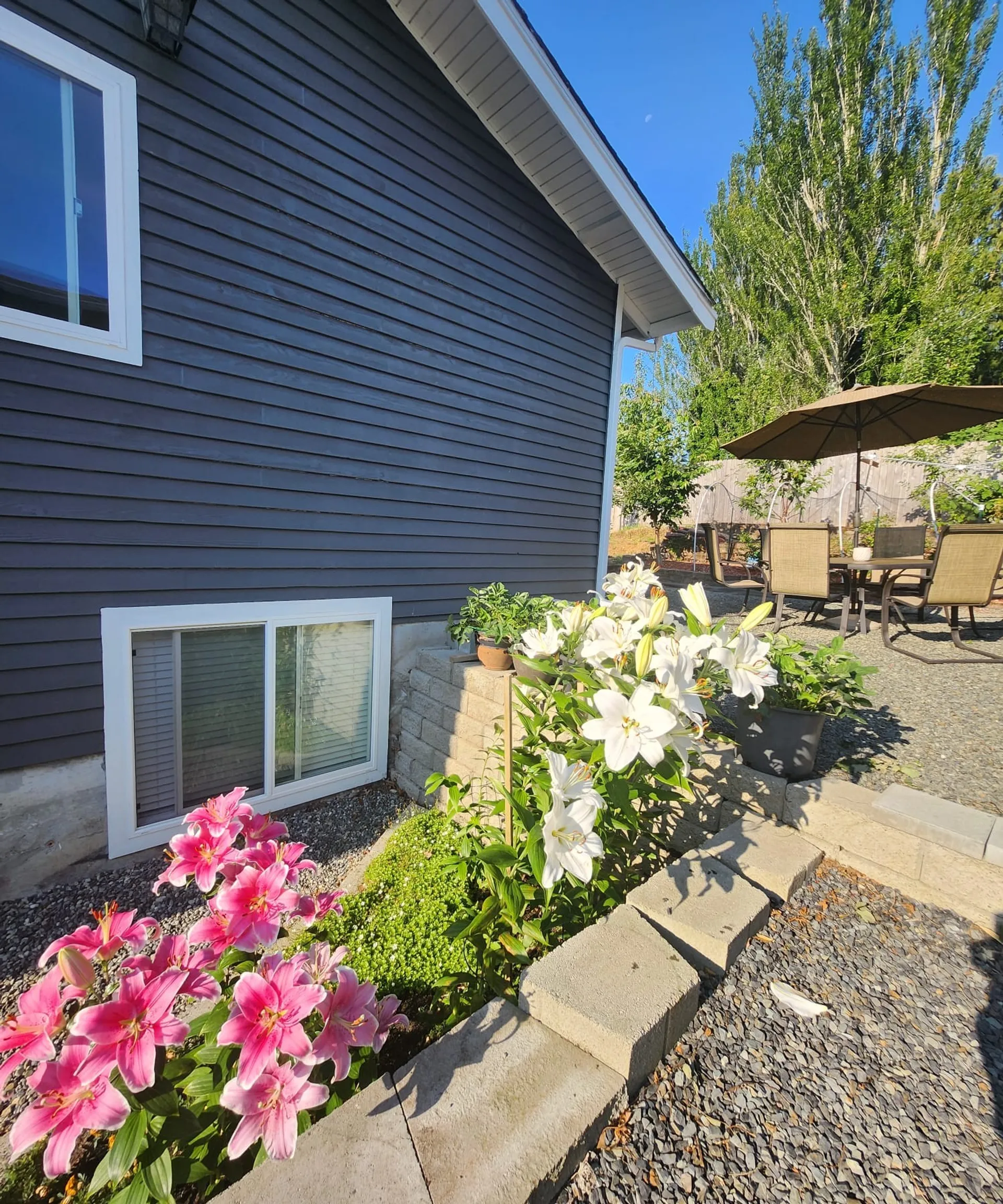 Backyard garden