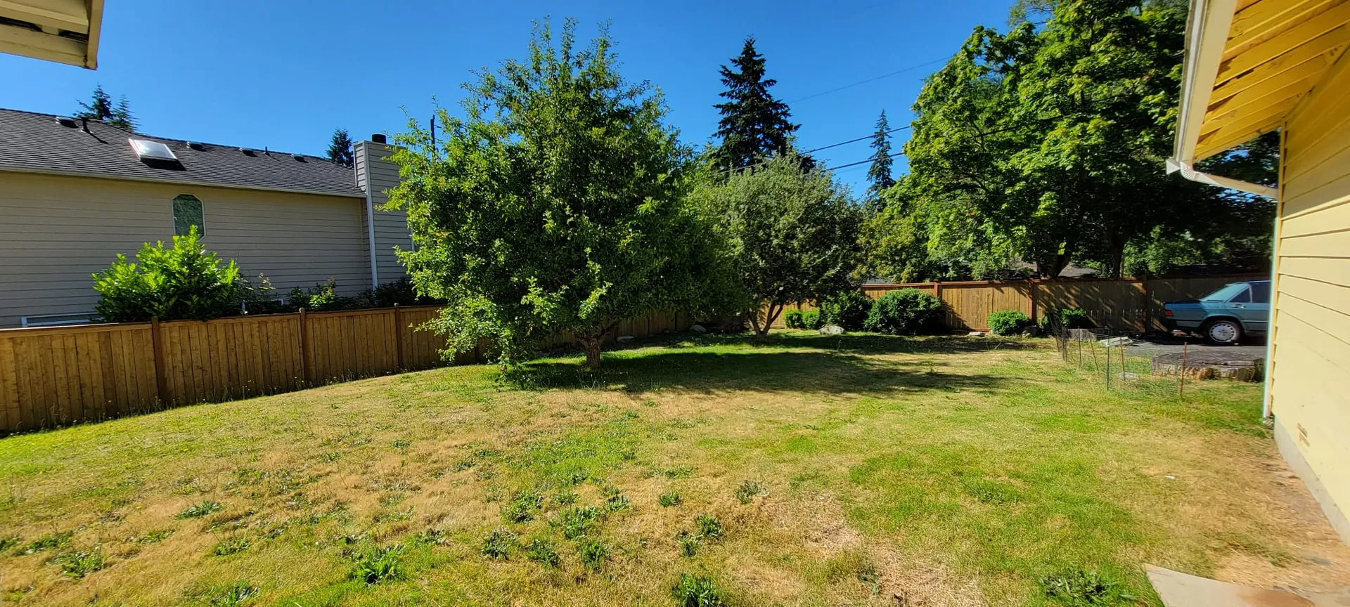 Warm backyard