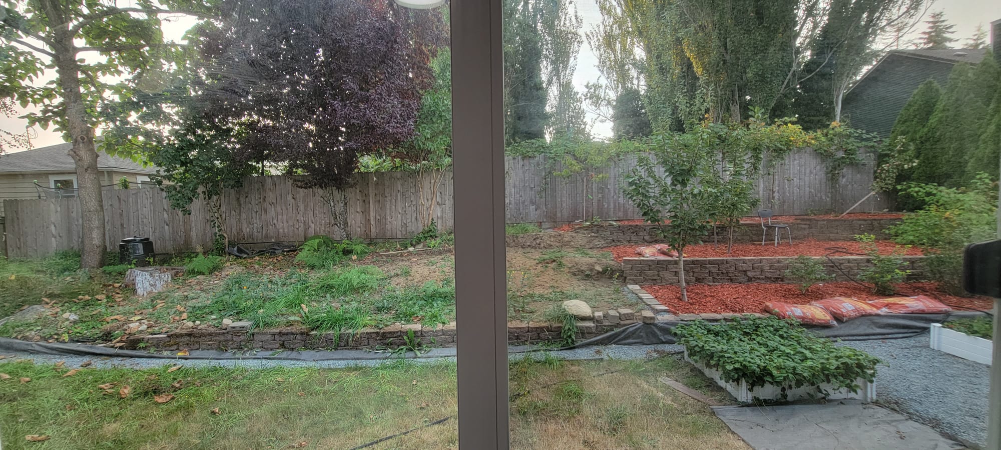 Window backyard view